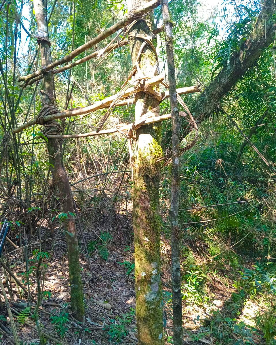 Guardaparques desarticularon actividad de caza furtiva en zona limítrofe con Brasil 3 Guardaparques desarticularon actividad de caza furtiva en zona limítrofe con Brasil imagen-2