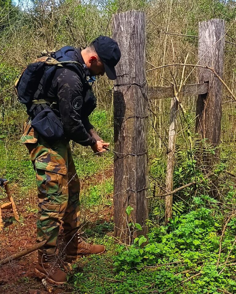 Guardaparques desarticularon actividad de caza furtiva en zona limítrofe con Brasil imagen-7