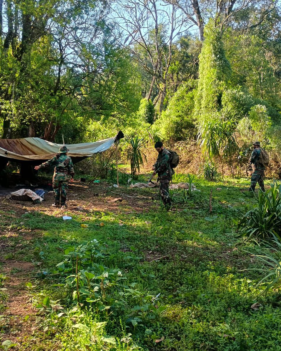 Guardaparques desarticularon actividad de caza furtiva en zona limítrofe con Brasil 7 Guardaparques desarticularon actividad de caza furtiva en zona limítrofe con Brasil imagen-6