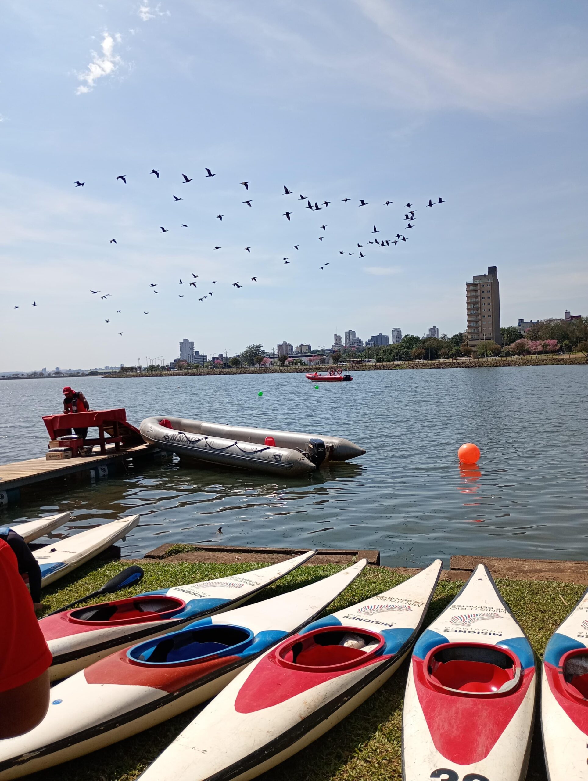 JJ. DD. Misioneros: continúan las definiciones en las distintas disciplinas imagen-20