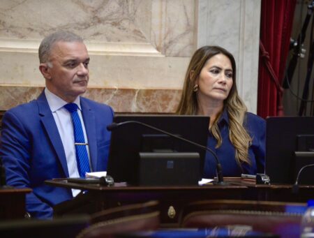 Los senadores de Misiones defendieron los recursos legítimos de las provincias y rechazaron el veto a los ATN imagen-5