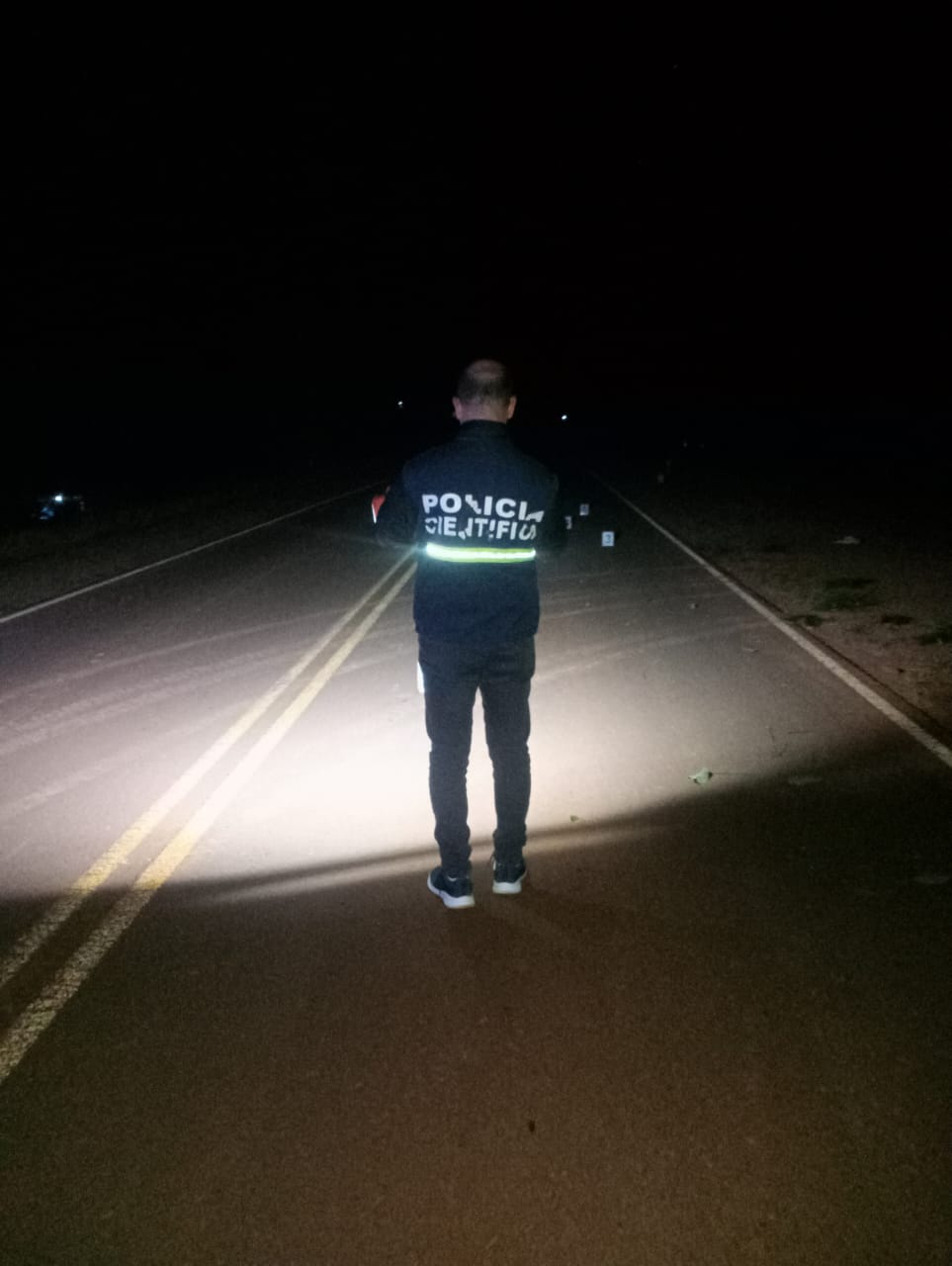 Colisión entre motocicleta y un animal vacuno dejó un herido en la Ruta Provincial 221 imagen-2