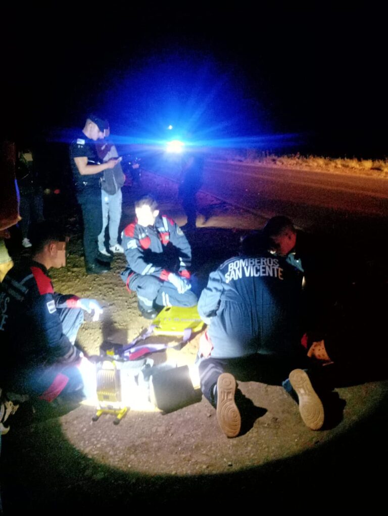 Colisión entre motocicleta y un animal vacuno dejó un herido en la Ruta Provincial 221 imagen-19