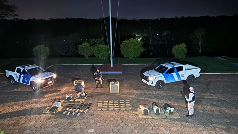 Prefectura secuestró droga en Puerto Iguazú valuada en casi $500 millones imagen-36