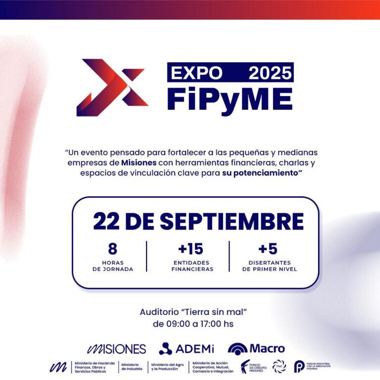 Expo FiPyME 2025: financiamiento y oportunidades para Empresas y Comercios en Misiones imagen-30