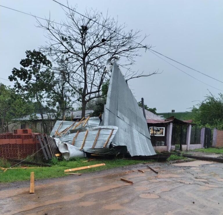 Temporal: provocó voladura de chapas y caída de postes en algunos sectores imagen-24