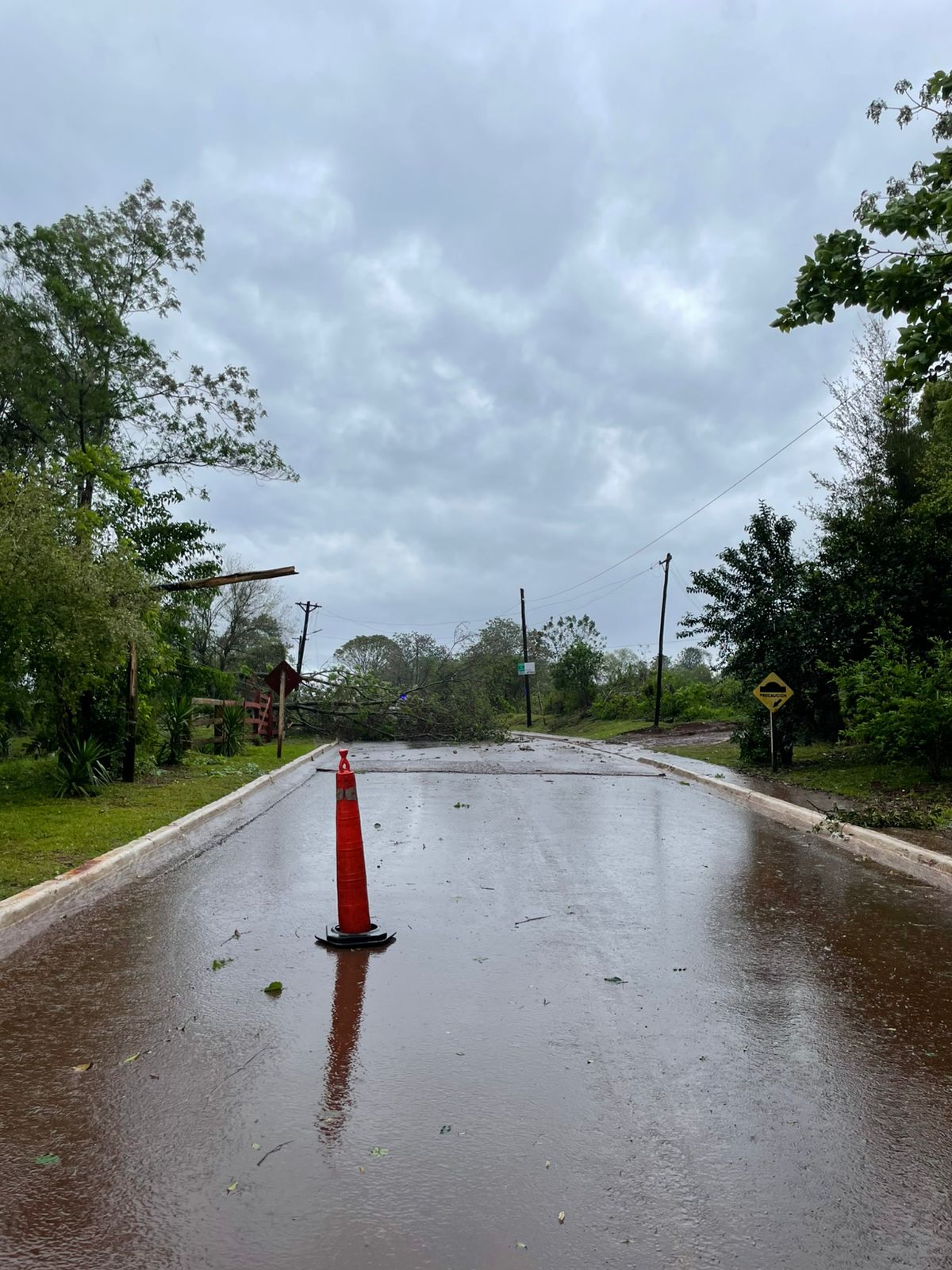 Temporal: provocó voladura de chapas y caída de postes en algunos sectores imagen-8