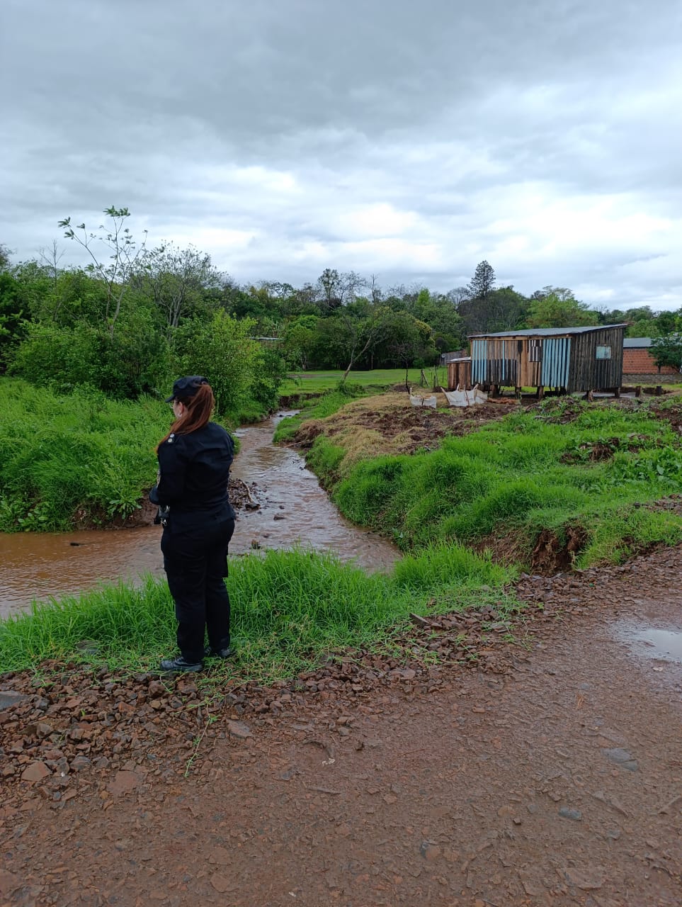 Temporal: provocó voladura de chapas y caída de postes en algunos sectores imagen-4