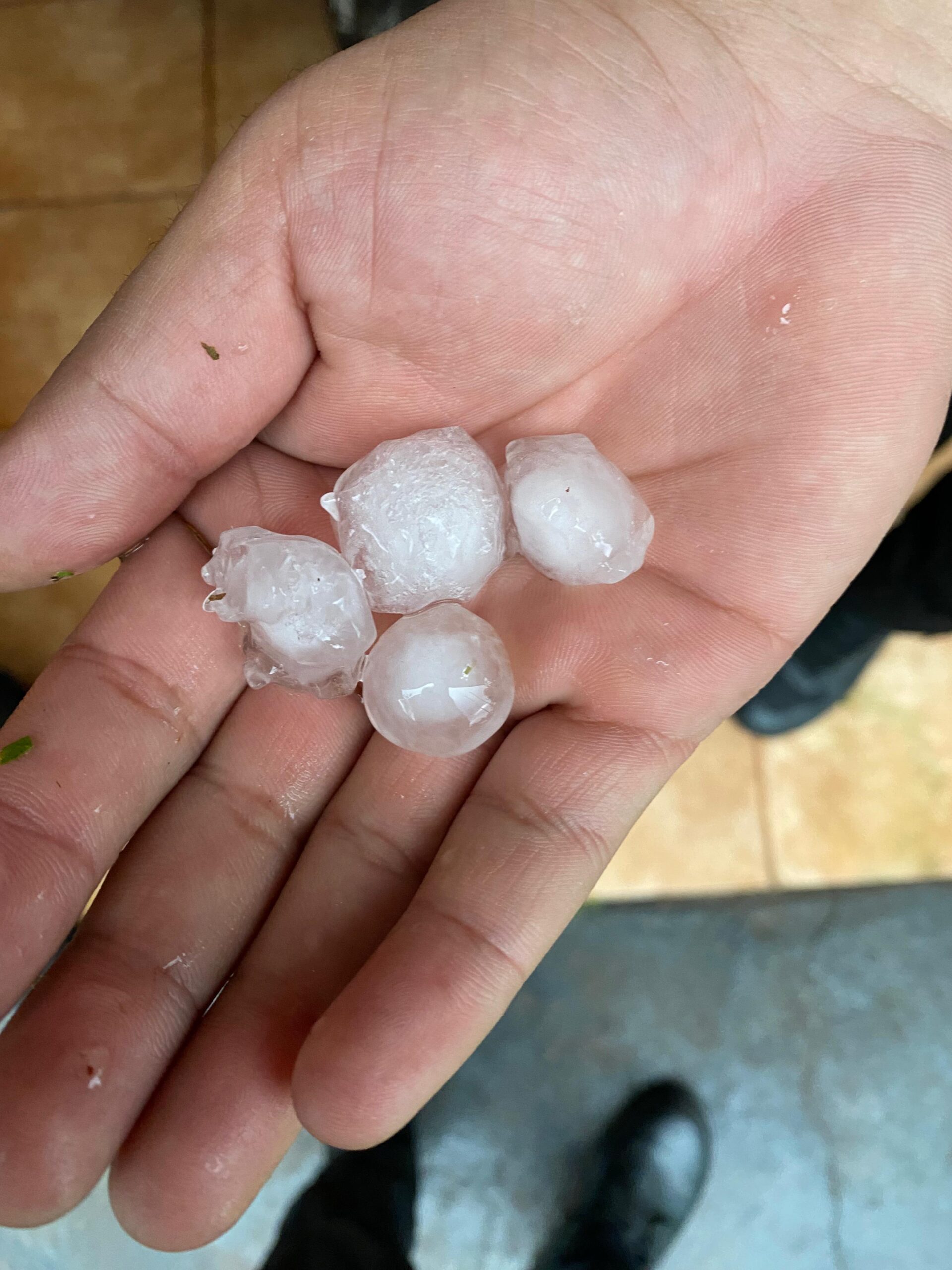 Temporal: provocó voladura de chapas y caída de postes en algunos sectores imagen-10