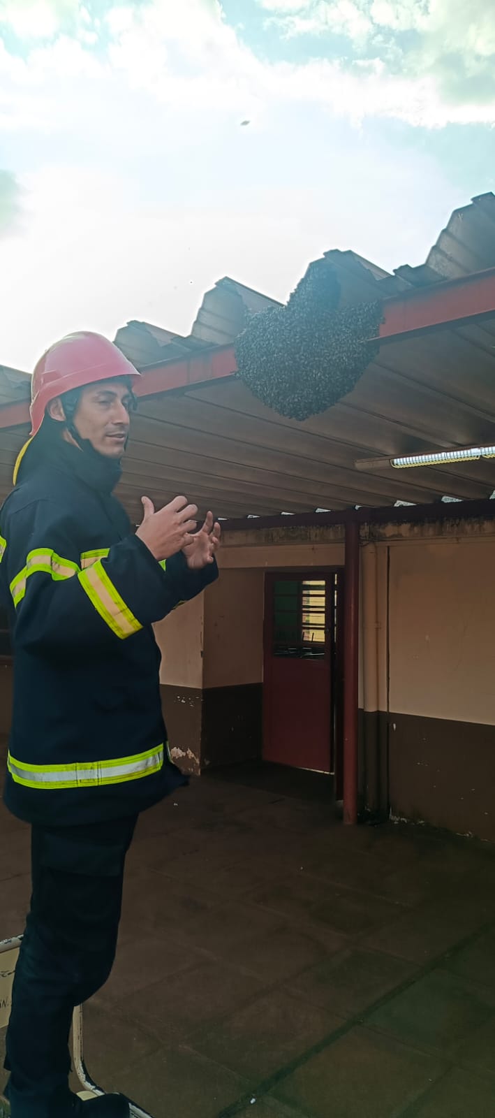 Bomberos de la Policía retiraron una colmena de abejas de una escuela y la reubicaron en el monte imagen-2