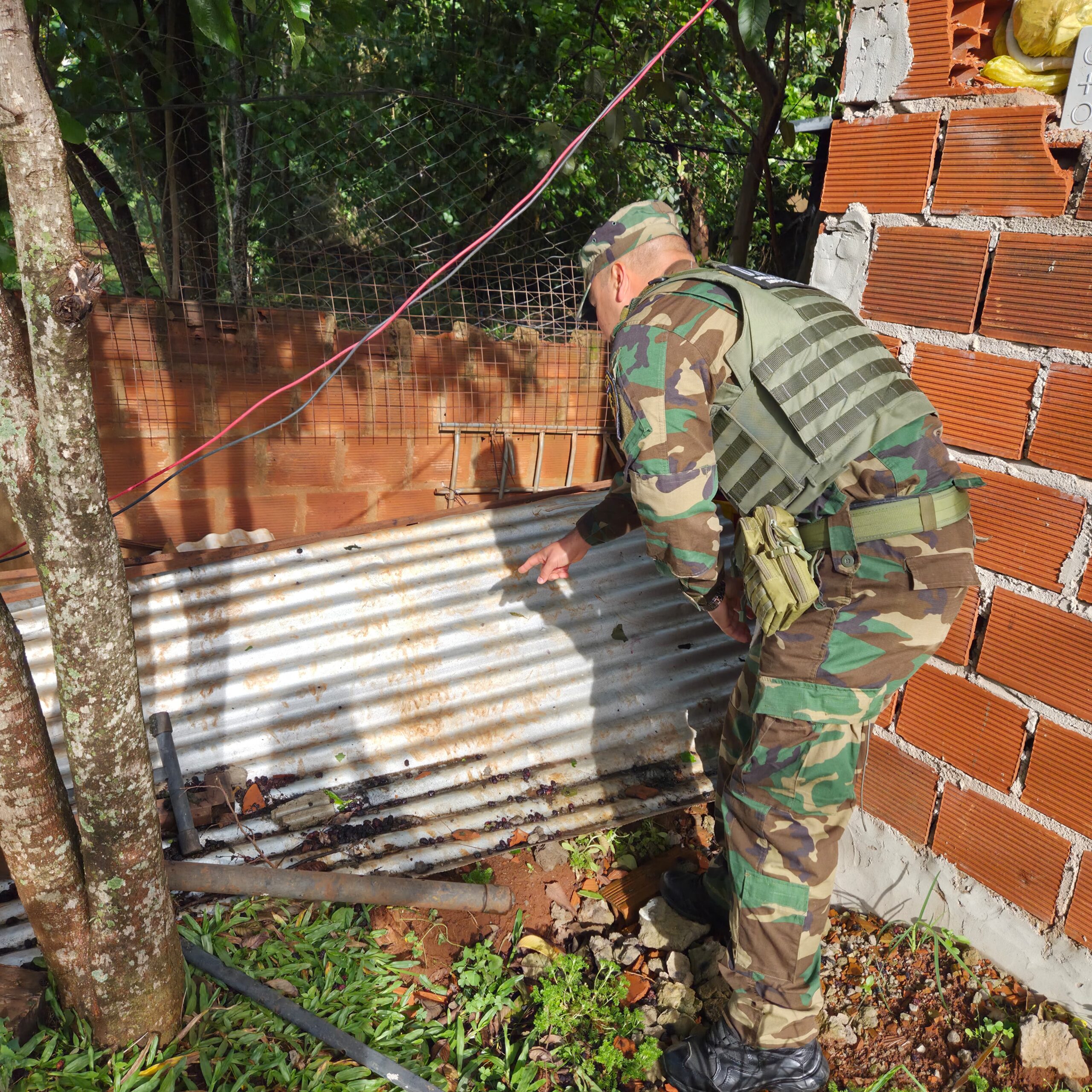La Policía Ambiental confirma que el puma ya salió de la zona urbana "y no representa un riesgo para los vecinos" imagen-12