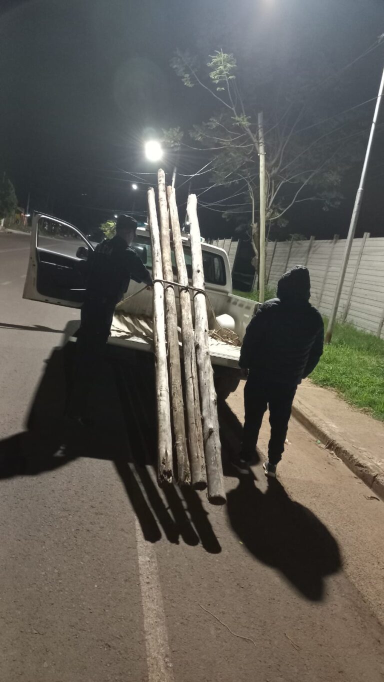 Tres barrios, tres procedimientos y un mismo resultado: ladrones detenidos y bienes robados recuperados en Posadas imagen-12