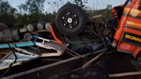 Despiste de camión cargado con madera en la ruta 14, entre Cerro Azul y Alem imagen-5