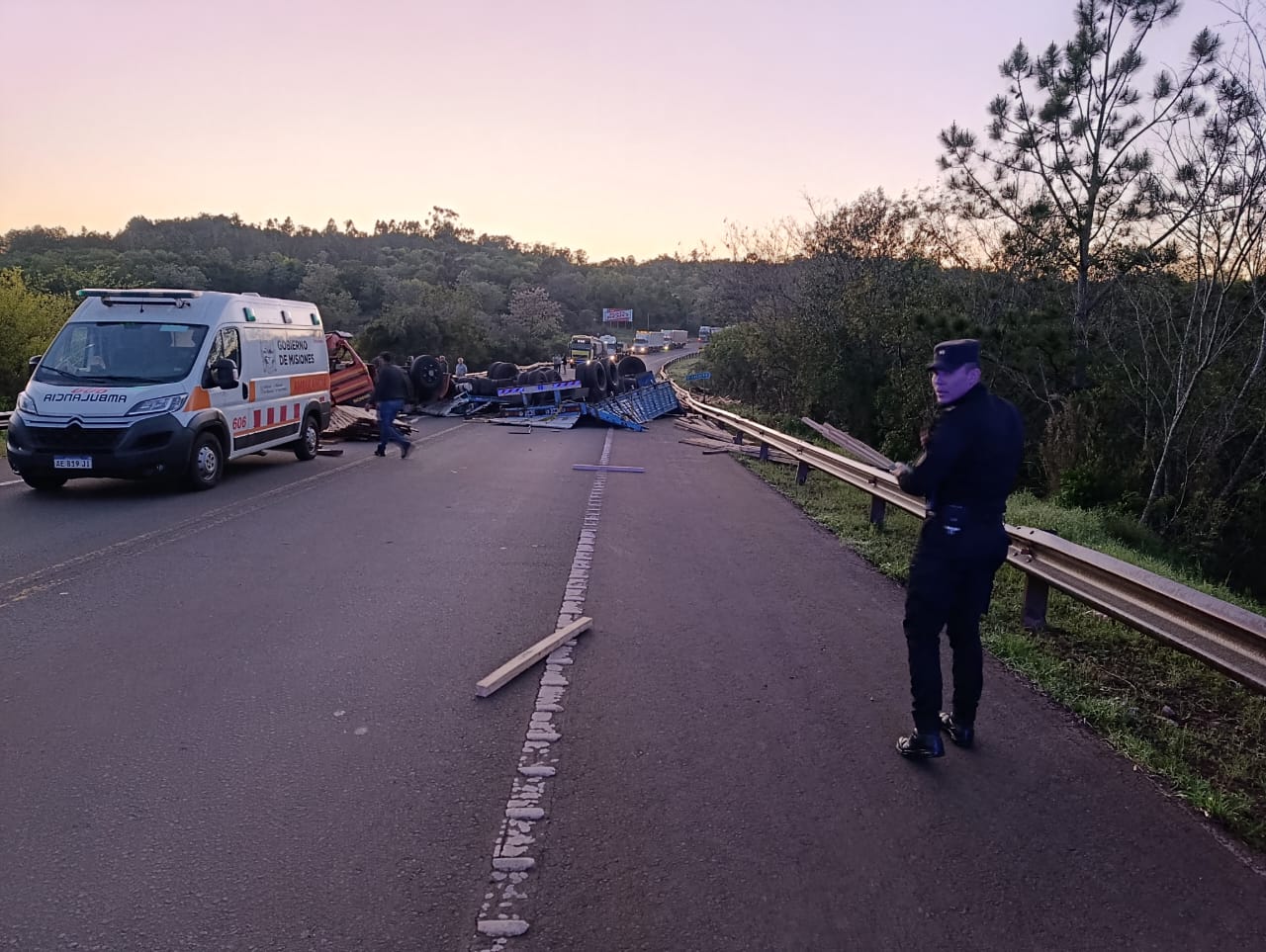 Despiste de camión cargado con madera en la ruta 14, entre Cerro Azul y Alem imagen-2