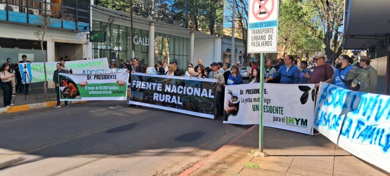 Yerba Mate: productores, tareferos y cooperativas exigen a la Justicia que intime a Milei a designar un Presidente en el INYM y que devuelva funciones imagen-18