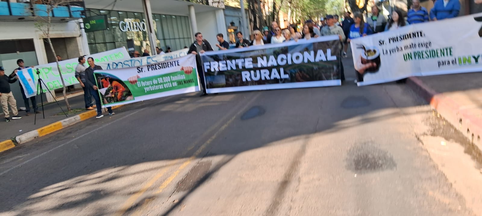 Yerba Mate: productores, tareferos y cooperativas exigen a la Justicia que intime a Milei a designar un Presidente en el INYM y que devuelva funciones imagen-6