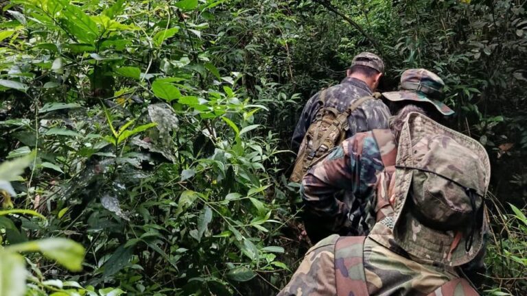 Detectaron indicios de diversas actividades ilícitas dentro del Campo San Juan imagen-17