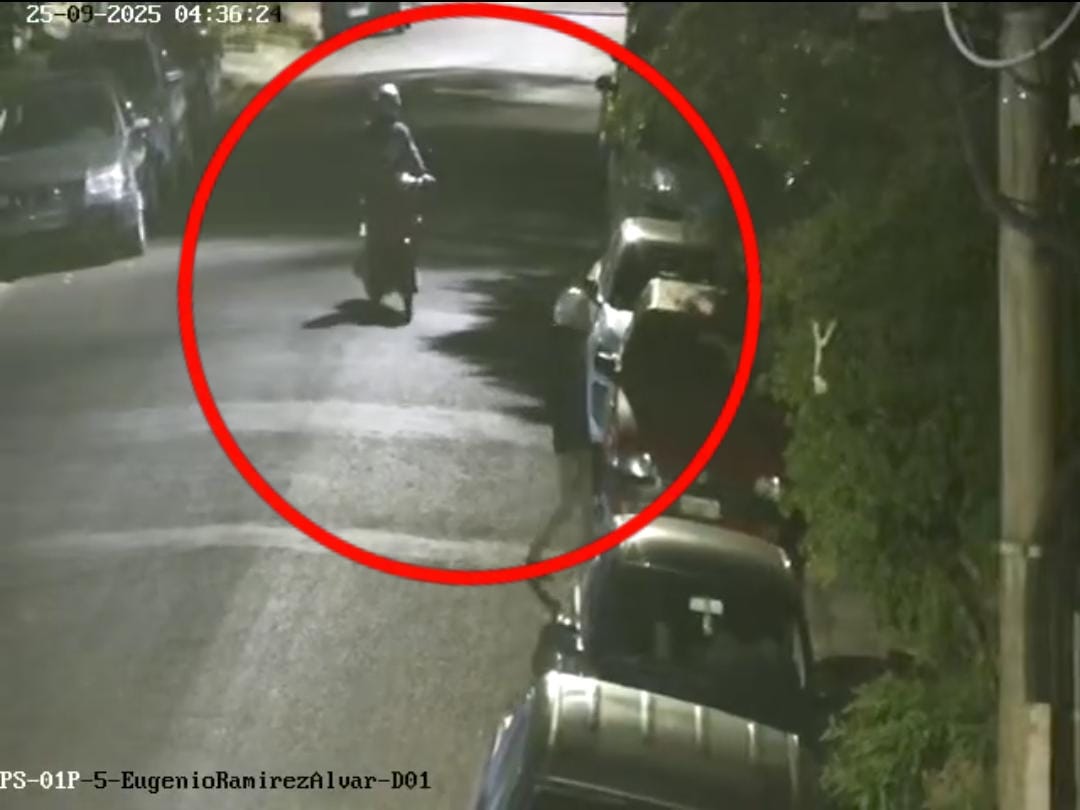 Cámaras del 911 detectaron a un dúo de ladrones: el que hacía de campana terminó tras las rejas imagen-2