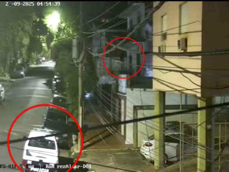 Cámaras del 911 detectaron a un dúo de ladrones: el que hacía de campana terminó tras las rejas imagen-34