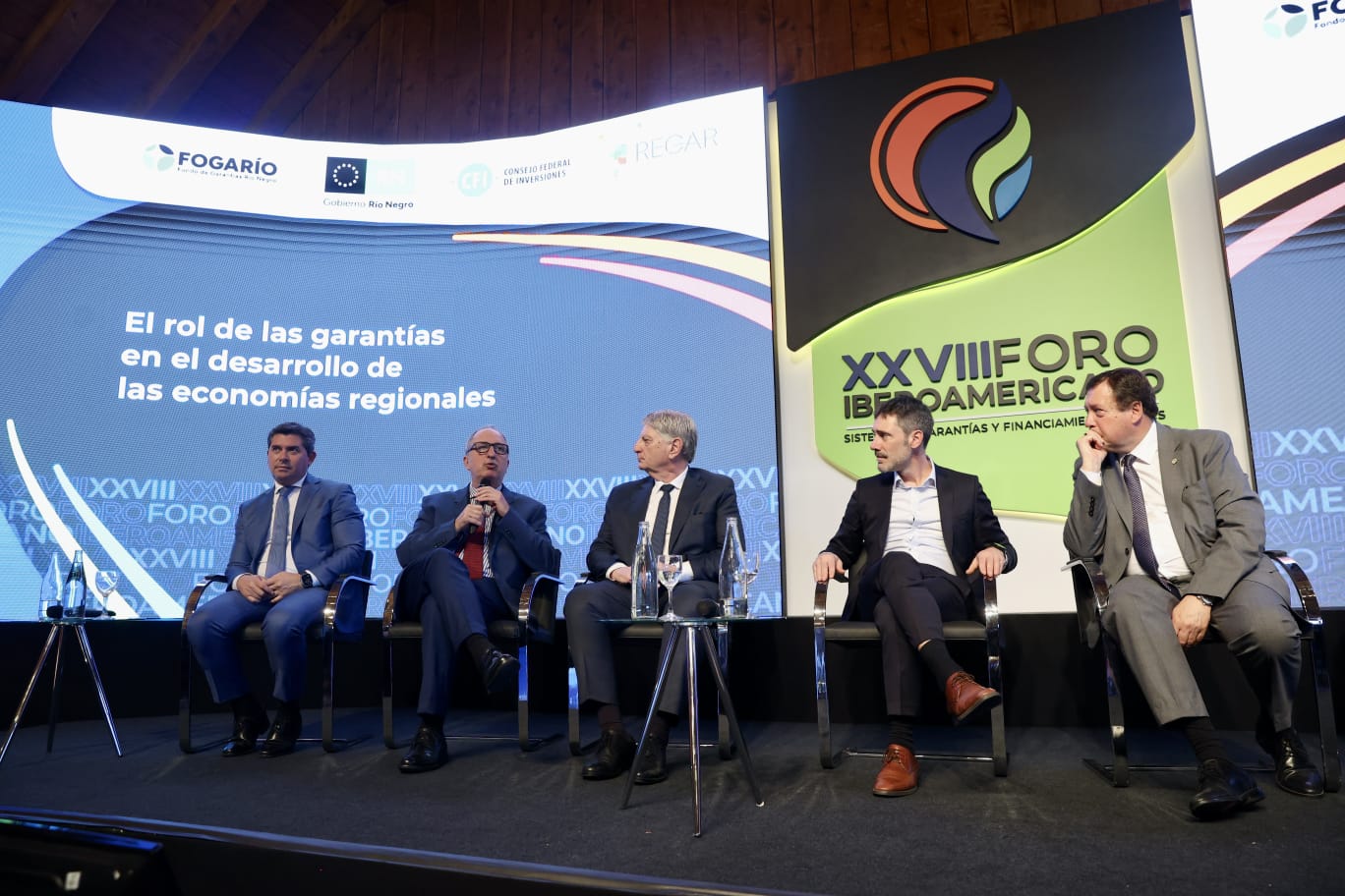 Passalacqua destacó el rol del Fondo de Crédito de Misiones en el Foro Iberoamericano de Garantías y Financiamiento para Pymes, en Bariloche imagen-8
