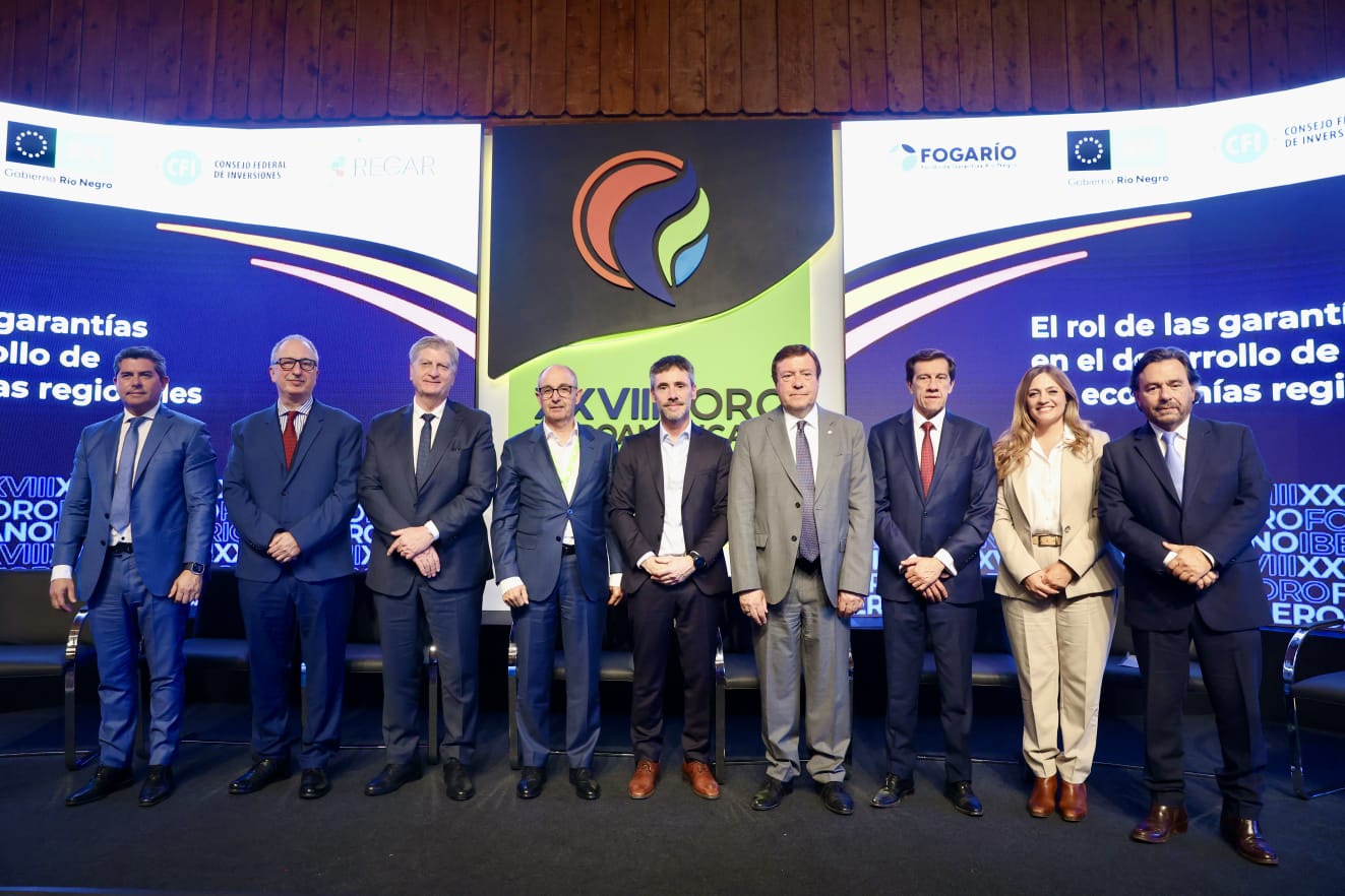 Passalacqua destacó el rol del Fondo de Crédito de Misiones en el Foro Iberoamericano de Garantías y Financiamiento para Pymes, en Bariloche imagen-10