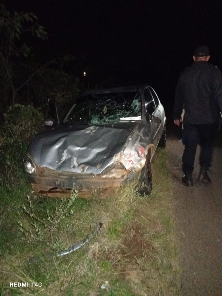 Un auto colisionó contra un animal vacuno en Cerro Corá imagen-19