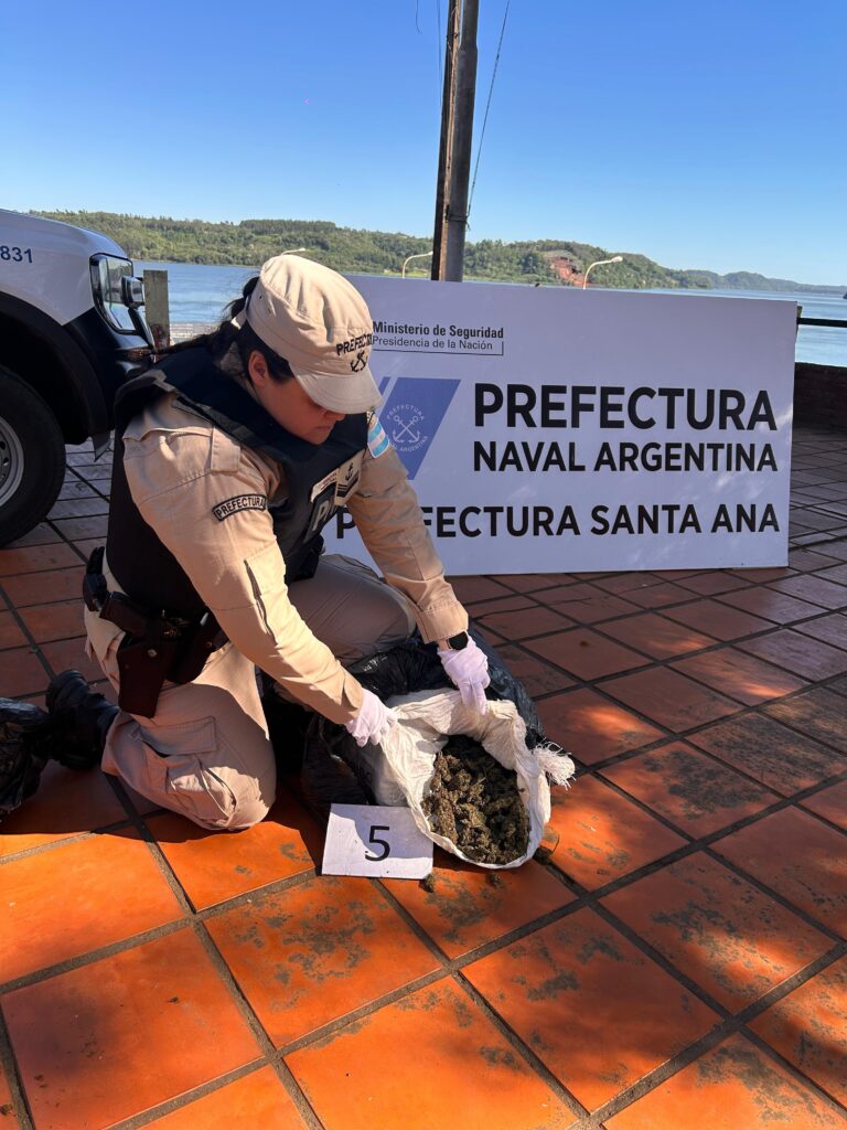 Secuestran marihuana valuada en más de $100 millones imagen-1