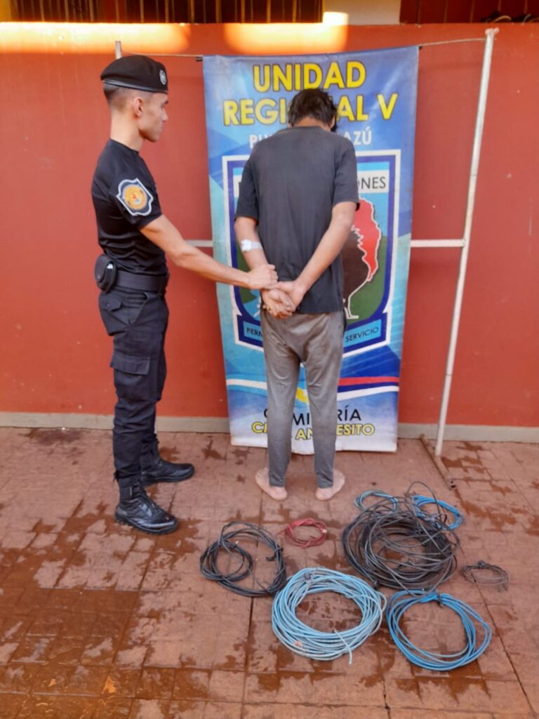 Saqueó el cableado completo de una casa y la Policía lo atrapó en minutos imagen-41