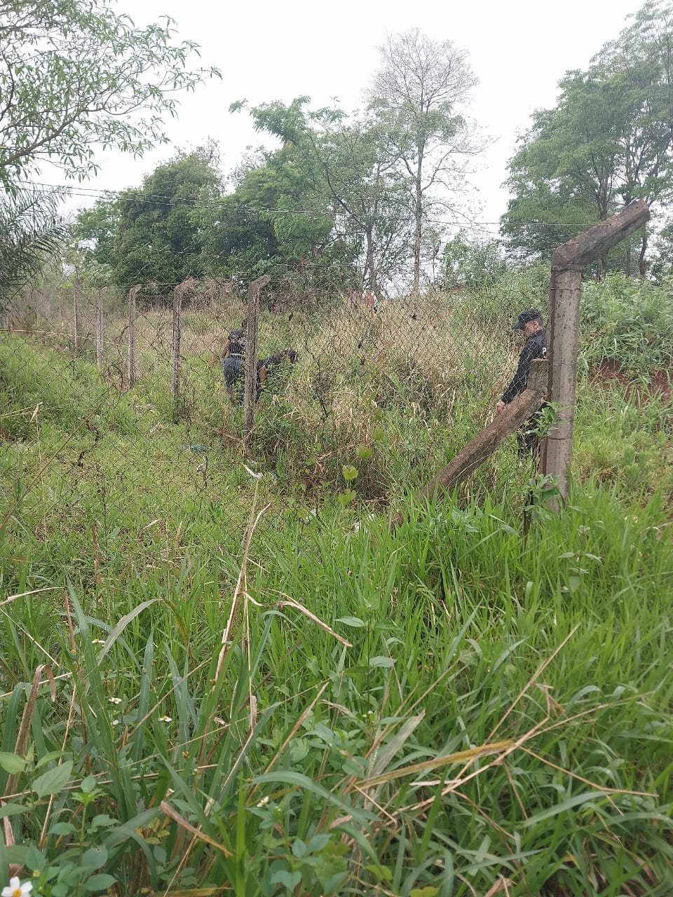 Dos jóvenes detenidos por la muerte de un miembro de la comunidad Mbya Guaraní 5 Dos jóvenes detenidos por la muerte de un miembro de la comunidad Mbya Guaraní imagen-4