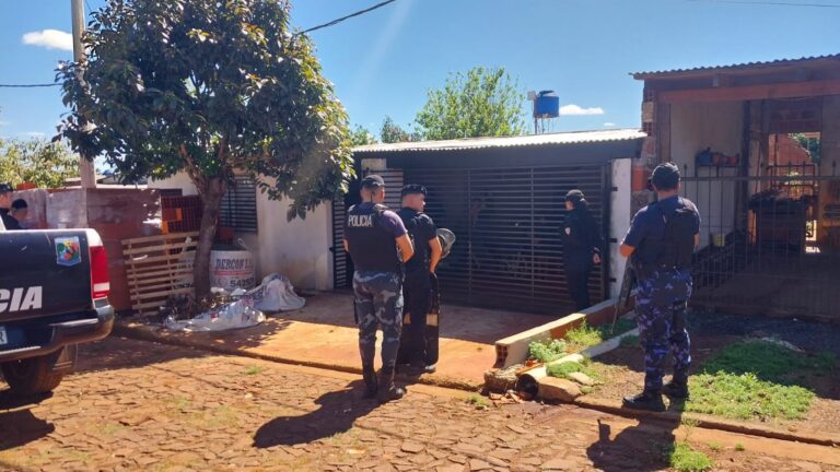 Vendían lo robado en redes sociales: así cayeron dos ladrones en Azara y Apóstoles imagen-39