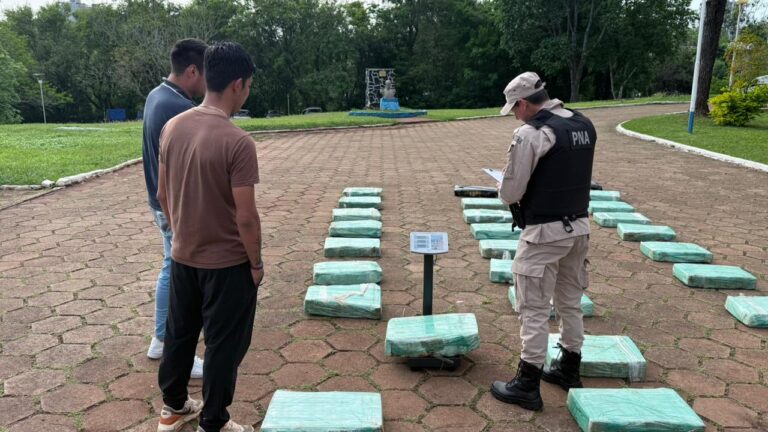 Incautan media tonelada de marihuana valuada en una cifra millonaria imagen-23