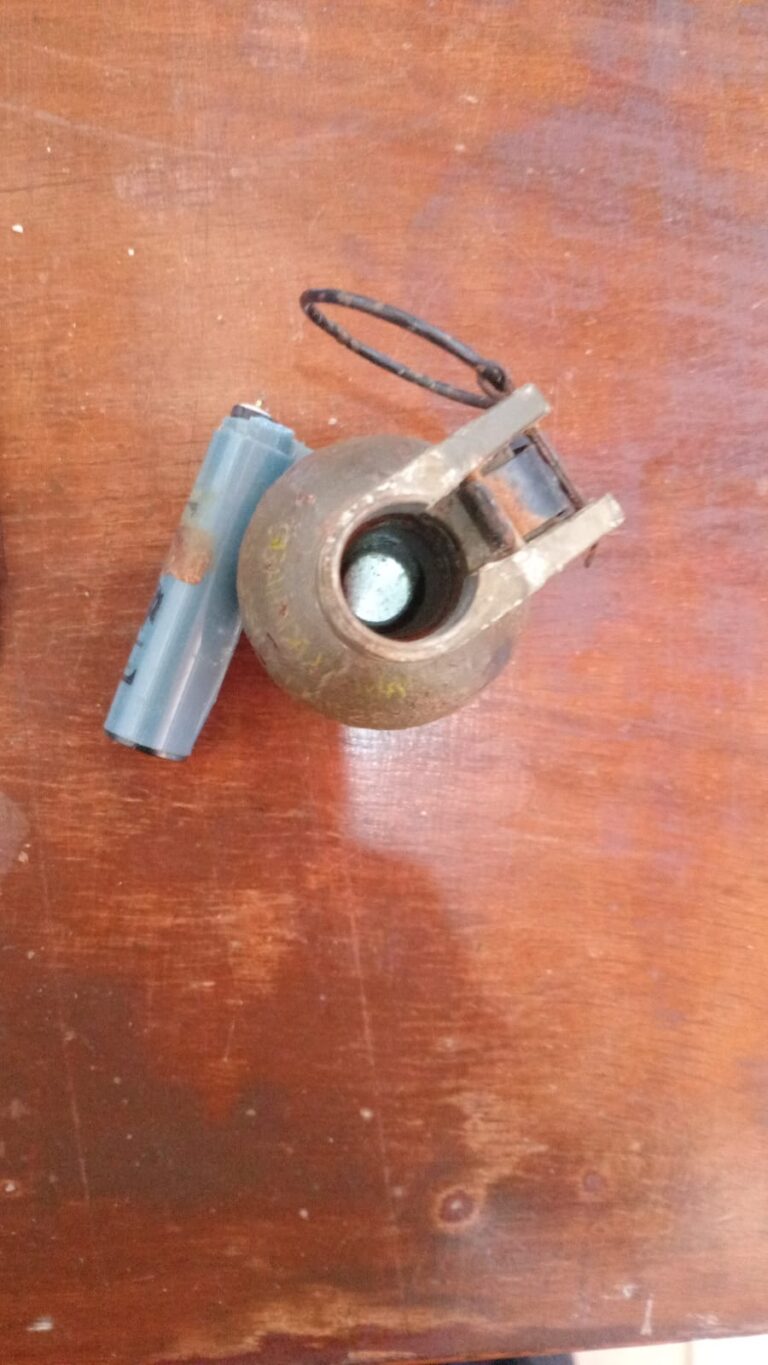 Hallaron una granada en el patio de una vivienda en Leandro N. Alem imagen-5