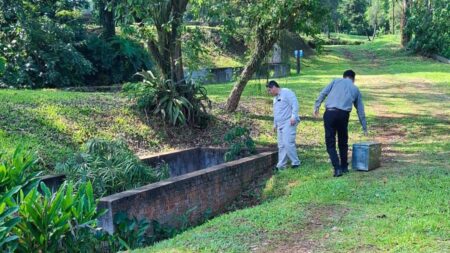Analizan vertidos de un frigorífico de Puerto Rico imagen-9