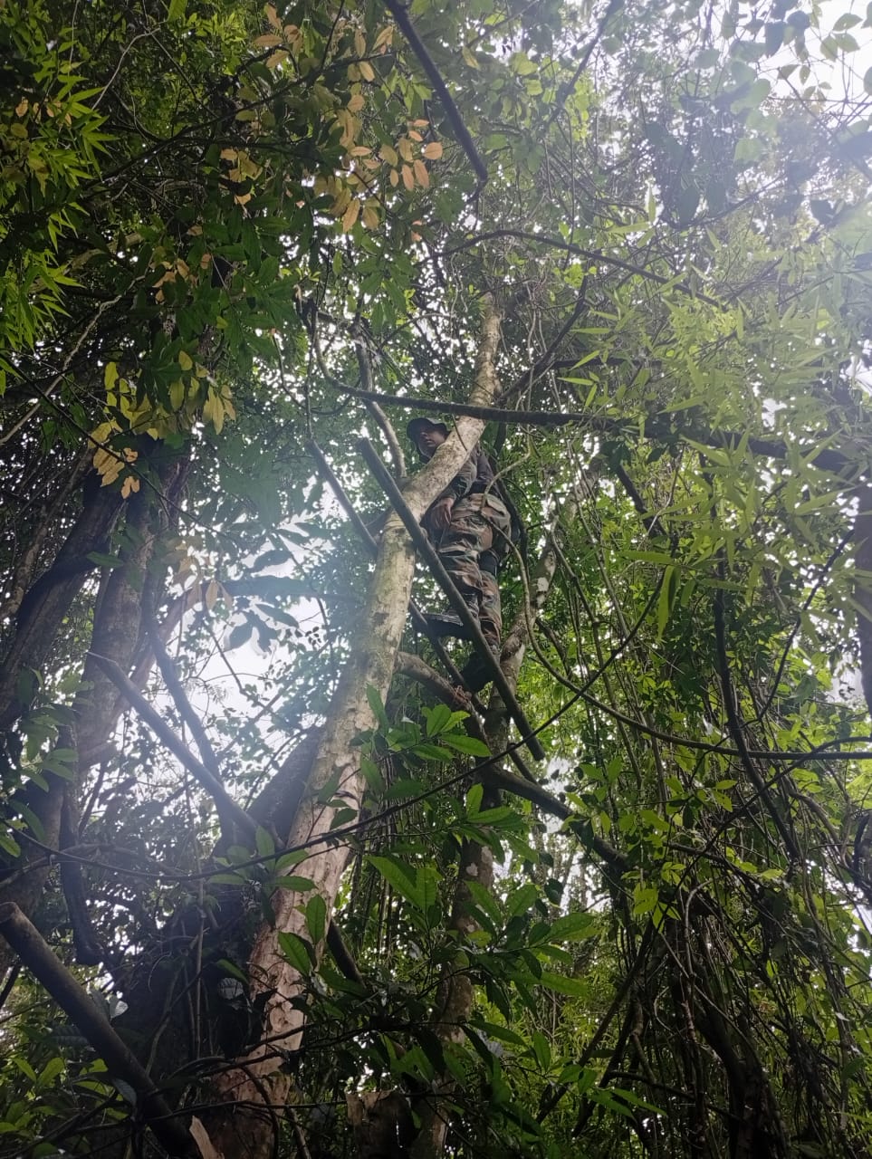 Trampas de caza furtiva desactivadas y un detenido en operativo rural en El Alcázar 7 Trampas de caza furtiva desactivadas y un detenido en operativo rural en El Alcázar imagen-6