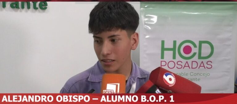 Parlamento Estudiantil Inclusivo Posadas 2025: presentan proyecto para profundizar las prácticas profesionales imagen-43