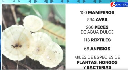 Legislatura establece el 22 de diciembre como Día Provincial de la Biodiversidad imagen-9