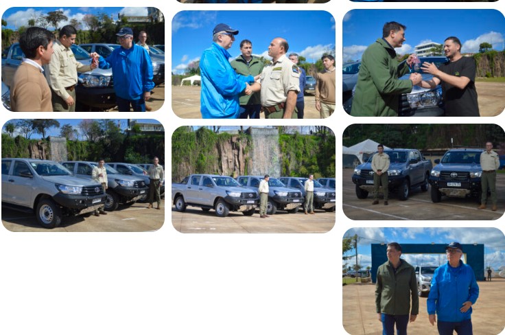 Deforestación: gracias a los controles ambientales, en los últimos 10 años Misiones tuvo una reducción histórica imagen-6