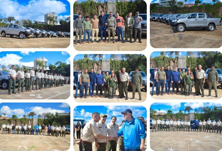 Deforestación: gracias a los controles ambientales, en los últimos 10 años Misiones tuvo una reducción histórica imagen-4