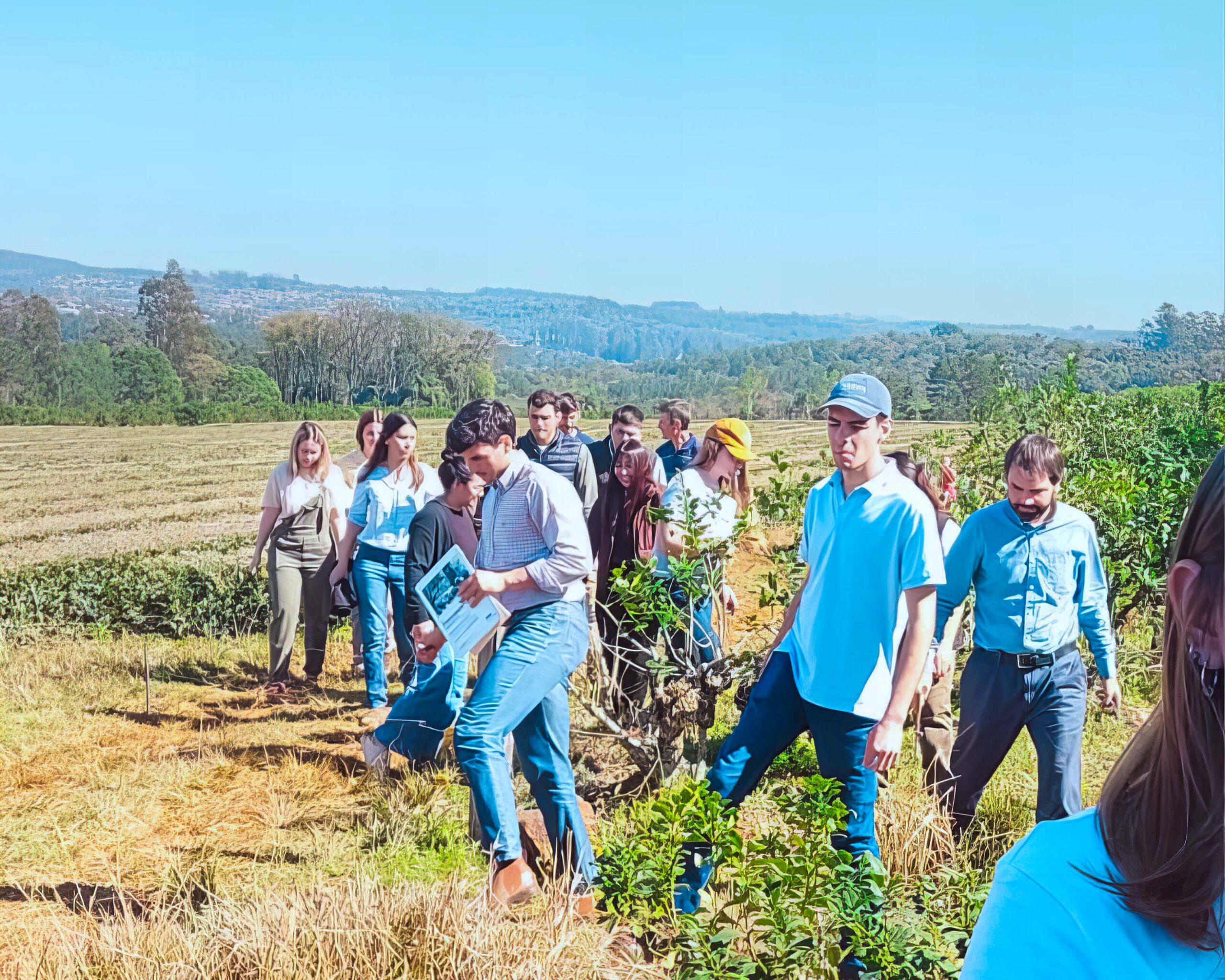 Capacitación ovina en Alem: fortalecer la cadena con conocimiento y manejo sustentable imagen-2