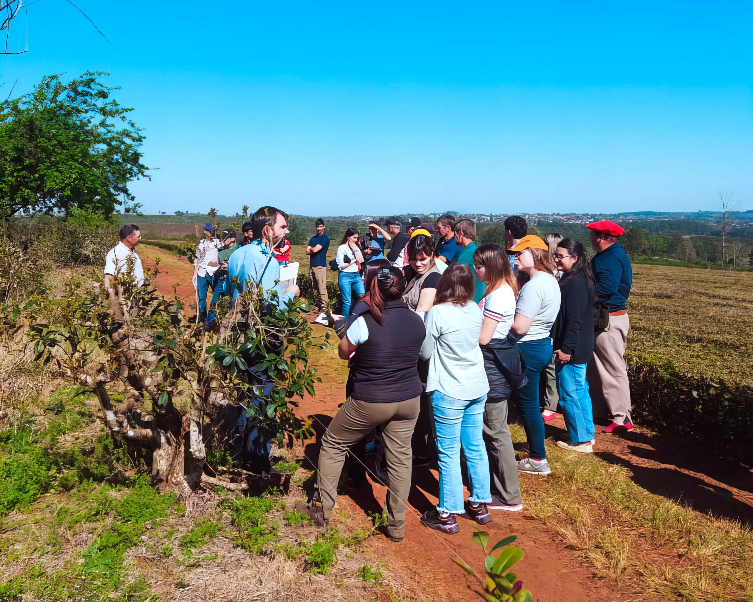 Capacitación ovina en Alem: fortalecer la cadena con conocimiento y manejo sustentable imagen-6