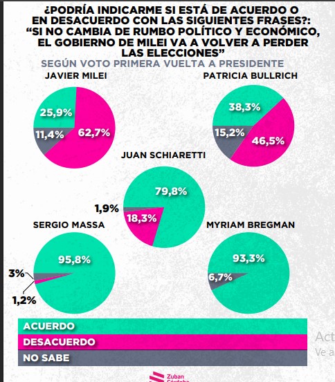 Encuesta: un 61,6% desaprueba el gobierno de Milei imagen-28