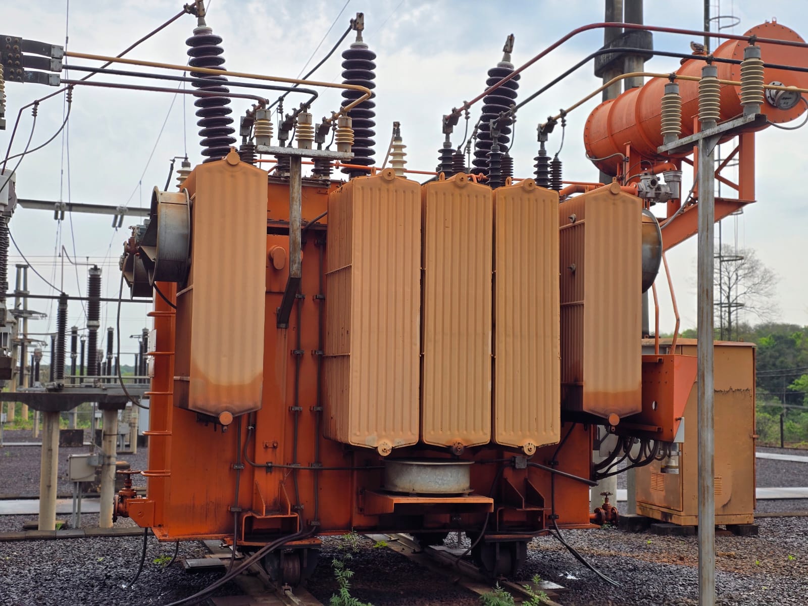 Energía de Misiones realizó mejoras en la línea troncal de la red eléctrica de Puerto Esperanza imagen-4