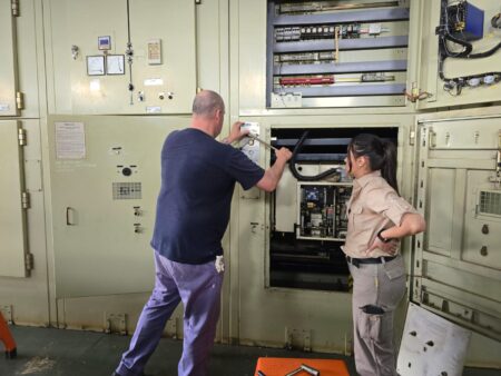 Energía de Misiones realizó mejoras en la línea troncal de la red eléctrica de Puerto Esperanza imagen-1