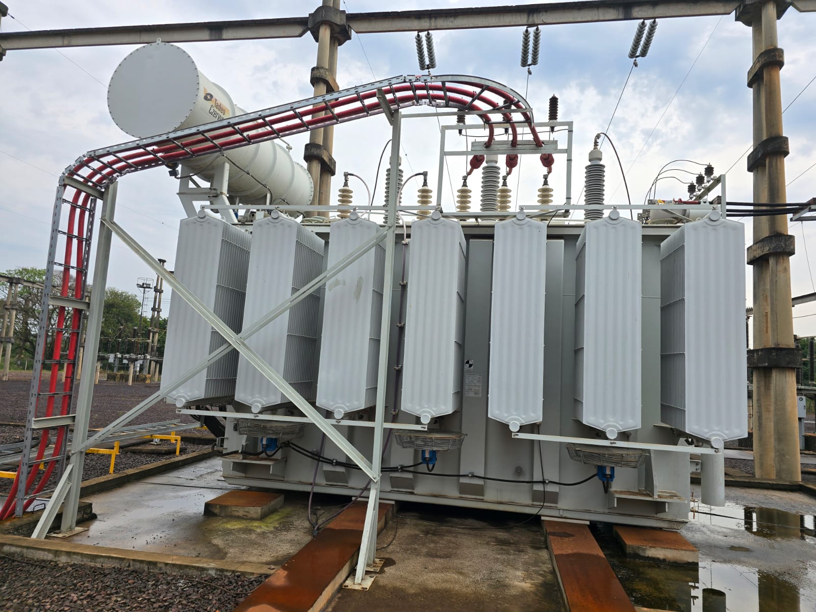 Energía de Misiones realizó mejoras en la línea troncal de la red eléctrica de Puerto Esperanza imagen-8