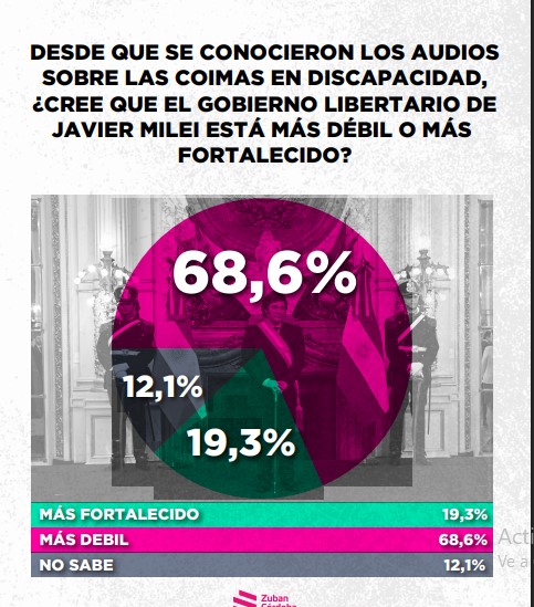 Encuesta: un 61,6% desaprueba el gobierno de Milei imagen-10