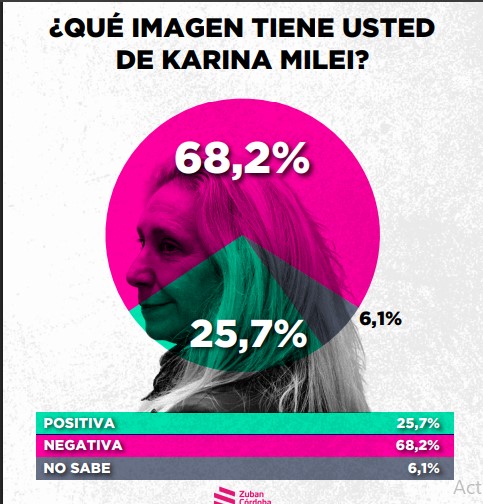 Encuesta: un 61,6% desaprueba el gobierno de Milei imagen-8