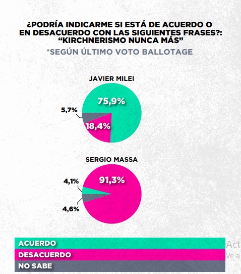 Encuesta: un 61,6% desaprueba el gobierno de Milei imagen-38