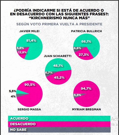 Encuesta: un 61,6% desaprueba el gobierno de Milei imagen-36