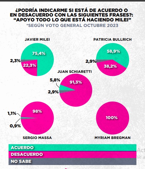 Encuesta: un 61,6% desaprueba el gobierno de Milei imagen-32