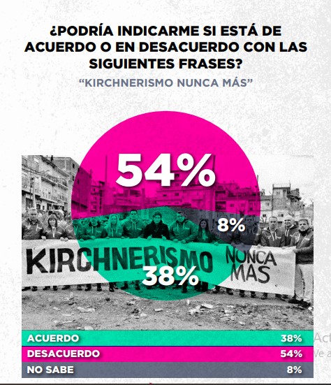 Encuesta: un 61,6% desaprueba el gobierno de Milei imagen-34
